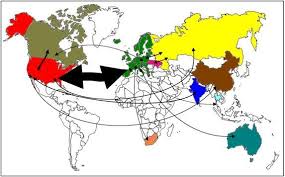 Politiques pesant le plus sur l'environnement