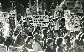 Protesters in New Zealand